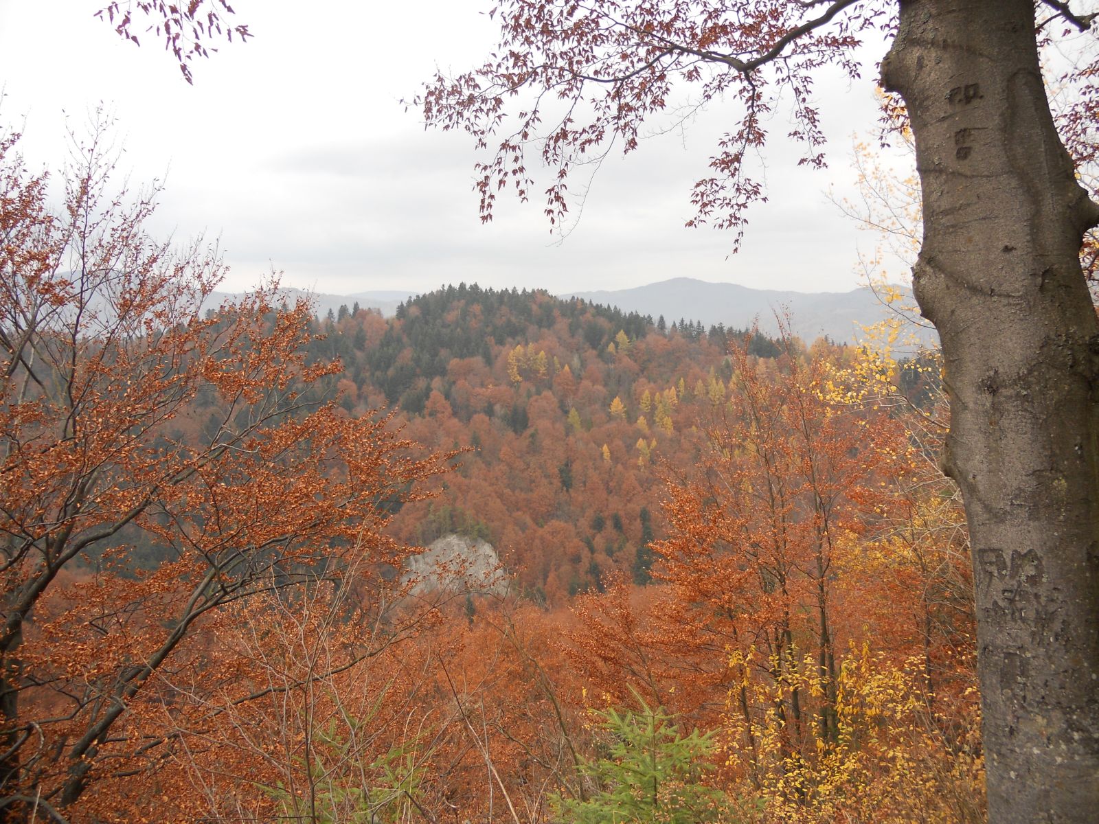 Pieniny jesienią